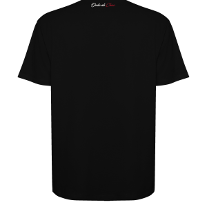 Ordo ab Chaos TEE