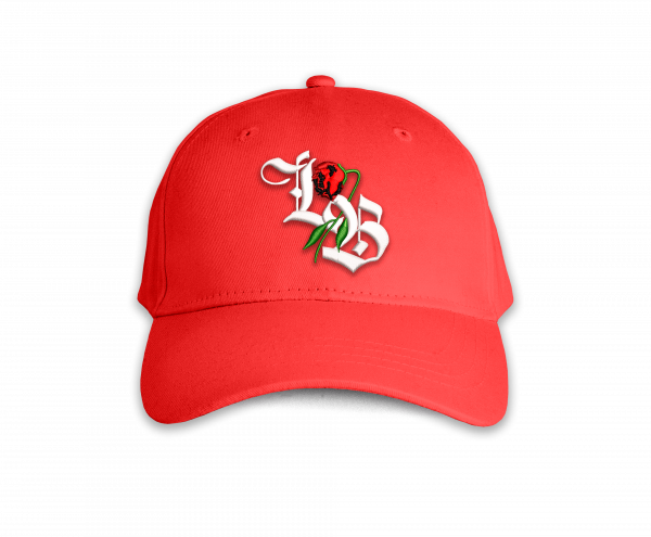 LB BASIC HAT - Imagen 2